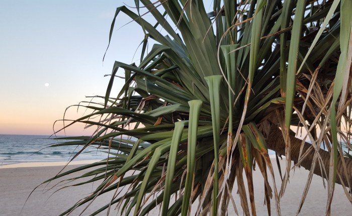 No Bow Can Wrap This&nbsp;Up